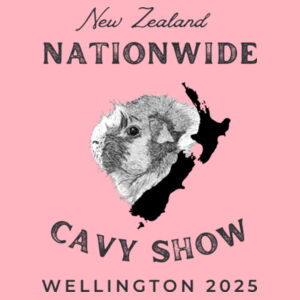 Nationwide Mug - Black Font Design